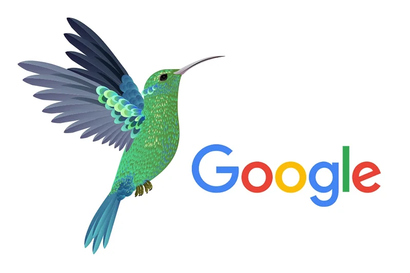 Google algoritme formule factoren